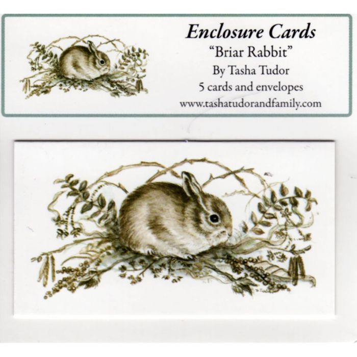 Briar Rabbit Enclosure Card Set – Tasha Tudor And Family