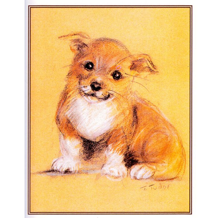 Corgi Puppies Cards Set