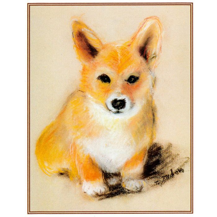 Corgi Puppies Cards Set