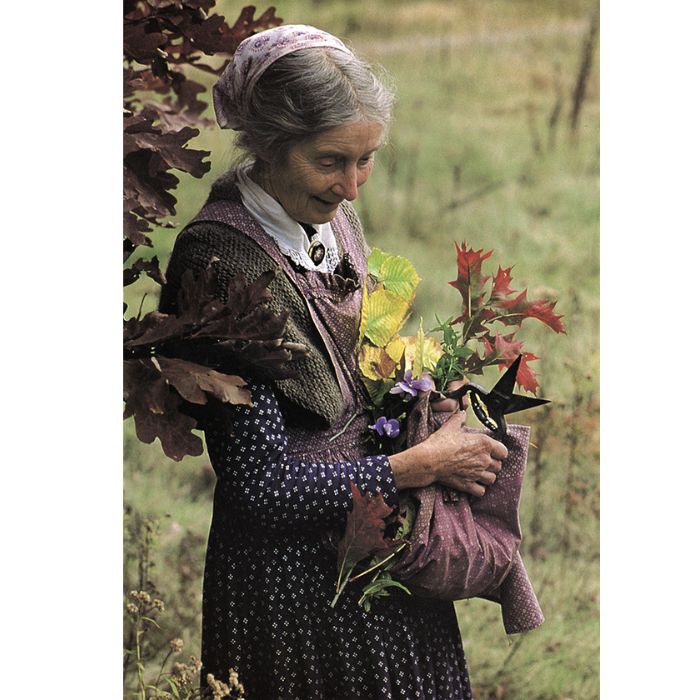 Leaves Card Set by Richard Brown