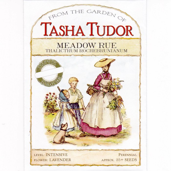 garden rue seeds Tasha Tudor Seeds: Meadow Rue – Tasha Tudor and Family