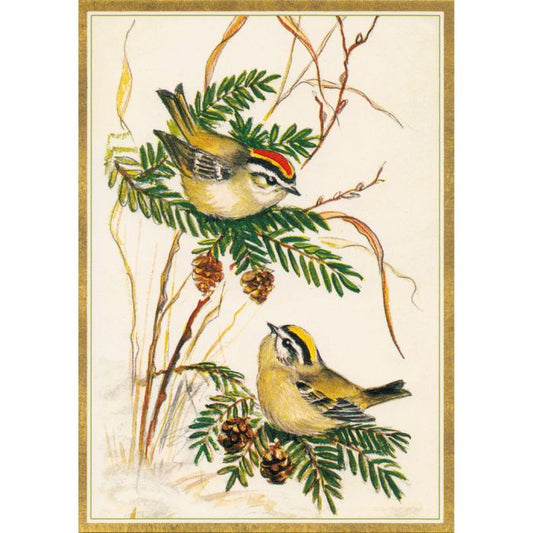 Caspari Single Rare Card: Kinglets