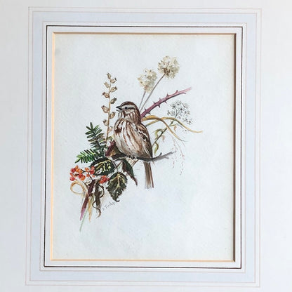 Original Watercolour Song Sparrow