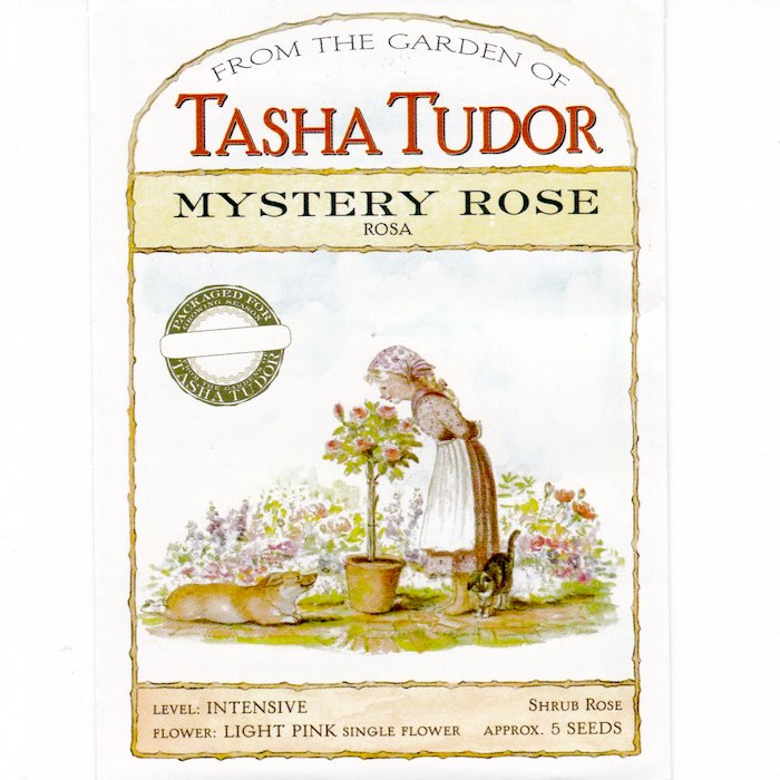 Tasha Tudor Seeds: Mystery Rose