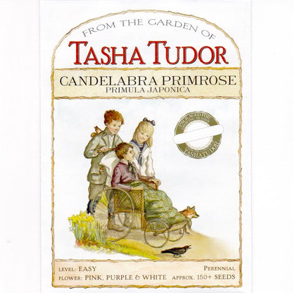 Tasha Tudor Seeds: Candelabra Primrose