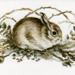 briar-rabbit-enclosure-cards-square