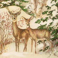 caspari_rare_card_-_two_deer_in_forest