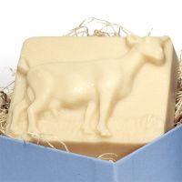 goat-milk-soap-goat-lavendar-square_1997163577