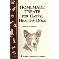 homemade-treats-dogs-square