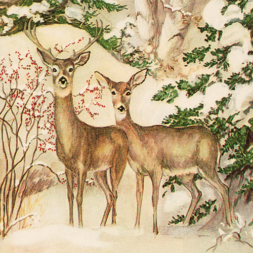 Caspari Single Rare Card: Two Deer in Forest