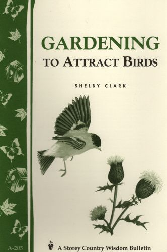 gardening-to-attract-birds-front_76797330