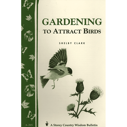 gardening-to-attract-birds-square_2110443266