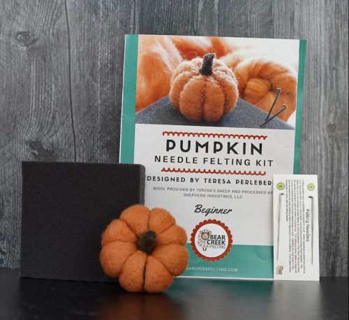 pumpkin-kit-2