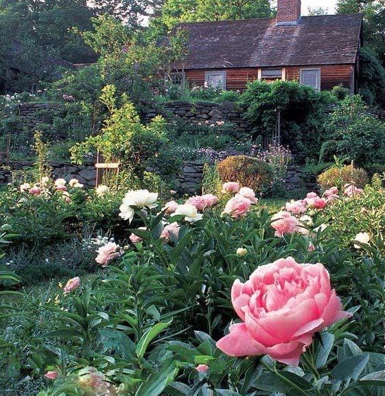 Tasha Tudor and Family Visit